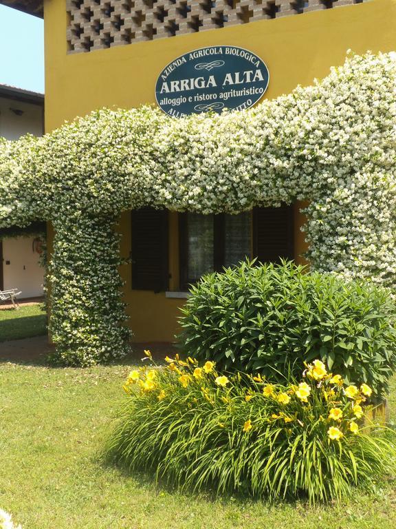Villa Arriga Alta à Lonato Extérieur photo